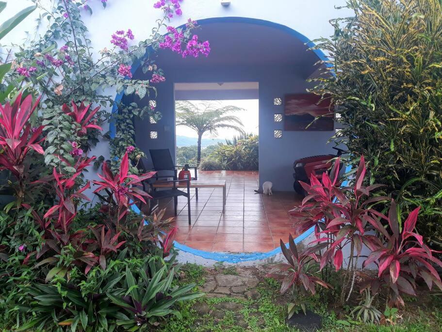 Swim & Paint Art Retreat Apartment Las Piedras Exterior photo