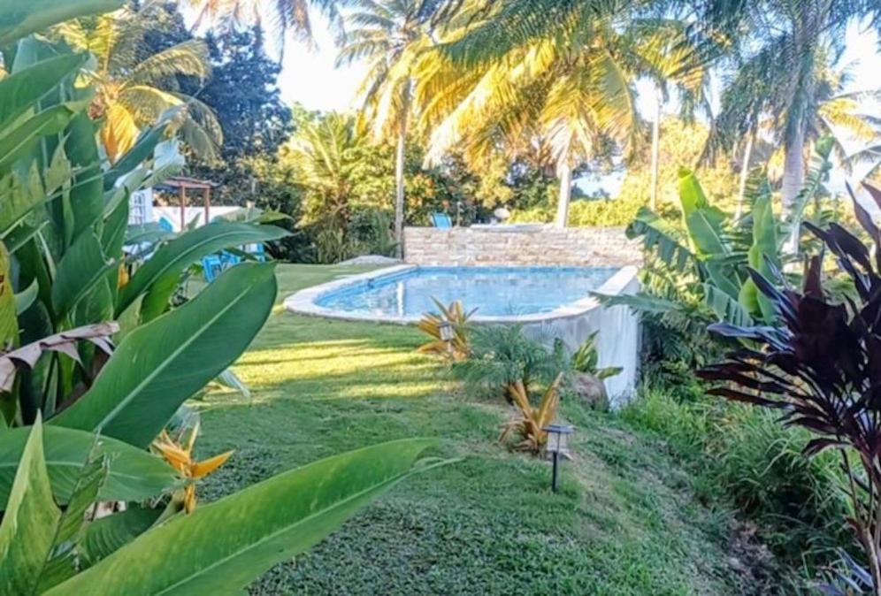 Swim & Paint Art Retreat Apartment Las Piedras Exterior photo